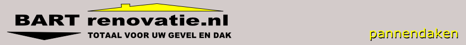 pannendaken